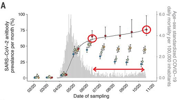 Estimated SARS-CoV-2 antibody prevalence in Manaus, Brazil