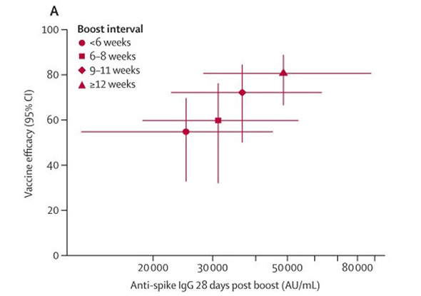 Relationship between binding and neutralizing antibodies 2 days after the second dose