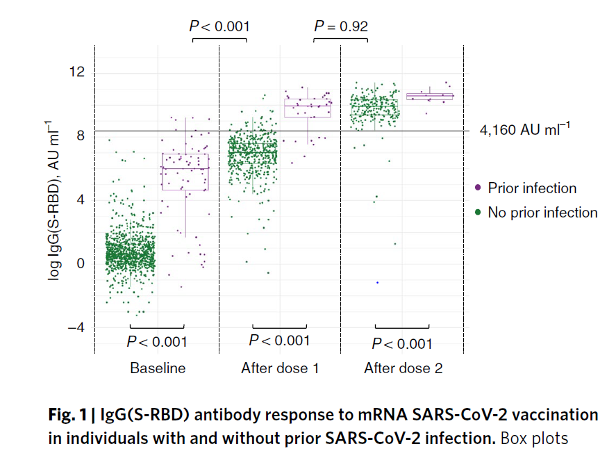 Figure 12: Distribution of IgG(S-RBD) antibody responses to mRNA SARS-CoV-2 vaccination in individuals with and without prior SARS-CoV-2 infection.