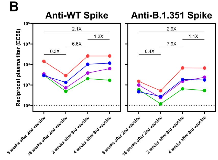 Changes in antibody titers against non-mutated and beta-mutated strains after the second and third vaccinations