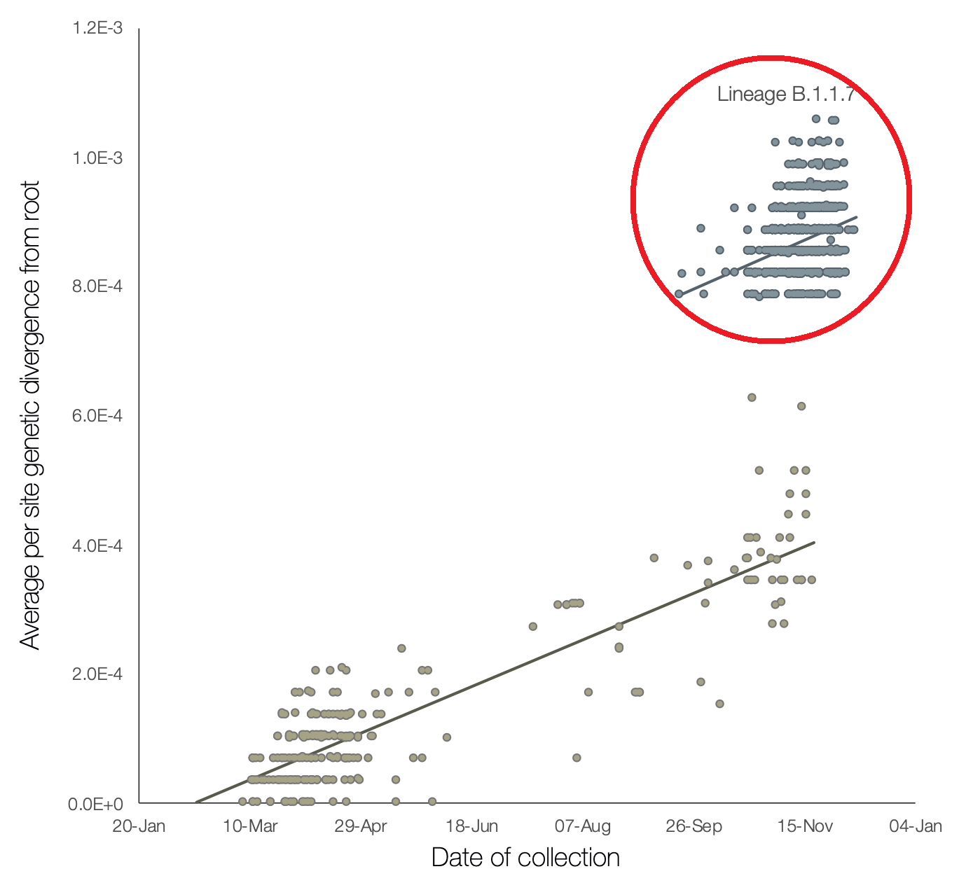 Fig.11_redcircle.png