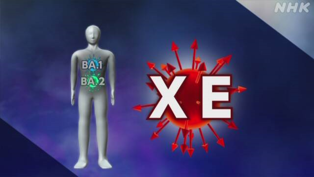 "XE"..."BA.1" + "BA.2"